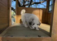 processed/571b0e9b-2eb9-472e-9284-3412f550bf45/listing/d70b046f-985c-44e7-98f2-45f18ec5ef7b/209f25bf-7b48-476d-8913-b79cae1ef855