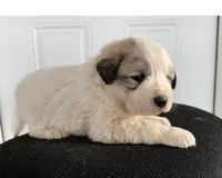 processed/571b0e9b-2eb9-472e-9284-3412f550bf45/listing/d70b046f-985c-44e7-98f2-45f18ec5ef7b/79d3b2f7-968c-48e5-a939-9b336bc5a2aa