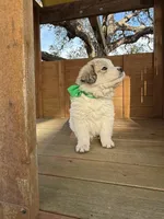 processed/571b0e9b-2eb9-472e-9284-3412f550bf45/listing/d70b046f-985c-44e7-98f2-45f18ec5ef7b/c3a1a6de-fa4c-4816-92e9-c5cebb543e84