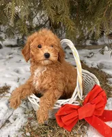 processed/5723f90b-b1a8-496c-a934-ce13704d72e8/listing/0083f863-c7d5-4cbf-97fd-a672c0253341/5f283ec9-88e9-4c1a-9736-b4d79723eb98