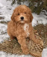 processed/5723f90b-b1a8-496c-a934-ce13704d72e8/listing/0083f863-c7d5-4cbf-97fd-a672c0253341/88f7c2d7-b3dd-4c32-bb37-0ae5045e626d