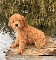 processed/5723f90b-b1a8-496c-a934-ce13704d72e8/listing/0083f863-c7d5-4cbf-97fd-a672c0253341/956dcf26-f42f-481d-848f-16d9e6dc8947