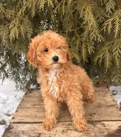 processed/5723f90b-b1a8-496c-a934-ce13704d72e8/listing/0083f863-c7d5-4cbf-97fd-a672c0253341/d7908a0c-b48a-4724-9908-21bcac06bd52