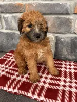 processed/5723f90b-b1a8-496c-a934-ce13704d72e8/listing/02fec121-479b-4154-aa69-2b9603ae477e/40bce636-062e-4bcd-bfc0-d62c2084f18d