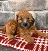 processed/5723f90b-b1a8-496c-a934-ce13704d72e8/listing/02fec121-479b-4154-aa69-2b9603ae477e/769aa344-38aa-48bb-a65f-ee56d7dd7c0d