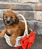 processed/5723f90b-b1a8-496c-a934-ce13704d72e8/listing/02fec121-479b-4154-aa69-2b9603ae477e/8e3fe31a-e788-44b8-97f8-46ac84ecbad7