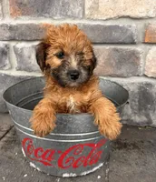 processed/5723f90b-b1a8-496c-a934-ce13704d72e8/listing/02fec121-479b-4154-aa69-2b9603ae477e/c7cf3952-2b4a-4c8b-82e9-cc24a30060c7