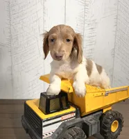 processed/5723f90b-b1a8-496c-a934-ce13704d72e8/listing/0b84f9a6-127c-4f79-9b62-593407816f20/19160a61-4d44-4ce2-b86e-79d24307ead6