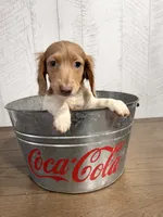 processed/5723f90b-b1a8-496c-a934-ce13704d72e8/listing/0b84f9a6-127c-4f79-9b62-593407816f20/32d6baee-df57-4e36-b073-f3aab0df38d4