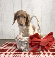 processed/5723f90b-b1a8-496c-a934-ce13704d72e8/listing/0b84f9a6-127c-4f79-9b62-593407816f20/42a6a6b8-5e13-45ba-8460-c1a4937fb14b