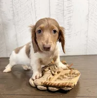 processed/5723f90b-b1a8-496c-a934-ce13704d72e8/listing/0b84f9a6-127c-4f79-9b62-593407816f20/ab4d8f6e-dda9-46e5-9811-6c3485b10fe4