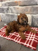 processed/5723f90b-b1a8-496c-a934-ce13704d72e8/listing/133e51bc-57d8-4cb2-bd4f-f4202debf717/69b842e1-4284-4171-bf20-0eae7c8577b8