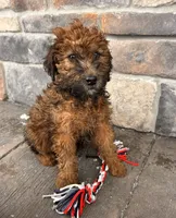 processed/5723f90b-b1a8-496c-a934-ce13704d72e8/listing/133e51bc-57d8-4cb2-bd4f-f4202debf717/9baef21e-f12f-4783-8917-65298d67f134