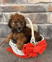 processed/5723f90b-b1a8-496c-a934-ce13704d72e8/listing/133e51bc-57d8-4cb2-bd4f-f4202debf717/c1917b4b-a882-4386-b281-82b2a9370c62