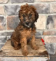 processed/5723f90b-b1a8-496c-a934-ce13704d72e8/listing/133e51bc-57d8-4cb2-bd4f-f4202debf717/fb2209fc-1977-4d91-981d-87cadb9e12f9