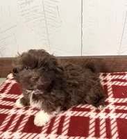 processed/5723f90b-b1a8-496c-a934-ce13704d72e8/listing/17763e7d-fd70-467a-9c0b-8be436ba6a6a/9385edec-231a-44b4-8204-0ca37a528a2c