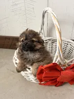 processed/5723f90b-b1a8-496c-a934-ce13704d72e8/listing/1e06d9ee-0a50-4871-bf6a-ab248776c602/312a92d8-de5d-42de-97af-21a717388f90