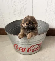 processed/5723f90b-b1a8-496c-a934-ce13704d72e8/listing/1e06d9ee-0a50-4871-bf6a-ab248776c602/46c00c04-416c-4608-9b6e-32930a65ec9c