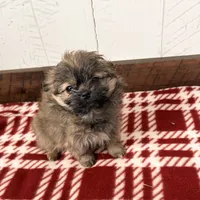 processed/5723f90b-b1a8-496c-a934-ce13704d72e8/listing/1e06d9ee-0a50-4871-bf6a-ab248776c602/5d868a07-a084-4567-9468-7db413392b10