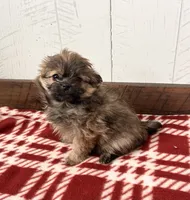 processed/5723f90b-b1a8-496c-a934-ce13704d72e8/listing/1e06d9ee-0a50-4871-bf6a-ab248776c602/b8d7daeb-cb7f-4f18-a850-06921de3f39e