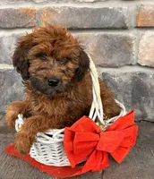 processed/5723f90b-b1a8-496c-a934-ce13704d72e8/listing/263c8566-6376-4885-90c4-ef0d7afc67fe/230c7f48-6f90-41cf-a977-18a633431005