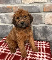 processed/5723f90b-b1a8-496c-a934-ce13704d72e8/listing/263c8566-6376-4885-90c4-ef0d7afc67fe/65224dd2-5f7f-4e67-9357-05ff6adf4ee5