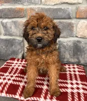 processed/5723f90b-b1a8-496c-a934-ce13704d72e8/listing/263c8566-6376-4885-90c4-ef0d7afc67fe/9d8d30bc-605b-41da-85f7-79d54036d771