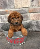 processed/5723f90b-b1a8-496c-a934-ce13704d72e8/listing/263c8566-6376-4885-90c4-ef0d7afc67fe/e30831e2-fb7e-4b6a-a419-0b2a426aece2