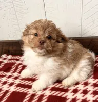 processed/5723f90b-b1a8-496c-a934-ce13704d72e8/listing/345ab5bc-eb50-4698-89ca-8635a09595b8/08fe1fb3-132d-40f0-9fd6-325019ebd2e0