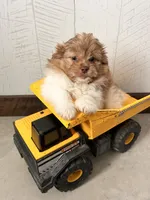 processed/5723f90b-b1a8-496c-a934-ce13704d72e8/listing/345ab5bc-eb50-4698-89ca-8635a09595b8/3adf4944-4f2b-485f-8b3a-821e36743435