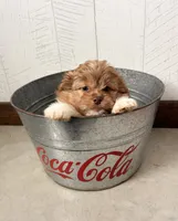 processed/5723f90b-b1a8-496c-a934-ce13704d72e8/listing/345ab5bc-eb50-4698-89ca-8635a09595b8/4290ad25-6139-476e-a6bd-4602c6371983