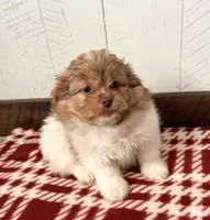 processed/5723f90b-b1a8-496c-a934-ce13704d72e8/listing/345ab5bc-eb50-4698-89ca-8635a09595b8/55b03f5c-5758-4df7-9a97-d7612e9d8179