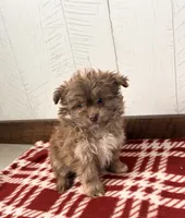 processed/5723f90b-b1a8-496c-a934-ce13704d72e8/listing/4ad26438-9ff0-4c39-863a-f65874f97eec/3e12b236-2fbb-4e3b-9059-f335f7d12352