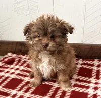 processed/5723f90b-b1a8-496c-a934-ce13704d72e8/listing/4ad26438-9ff0-4c39-863a-f65874f97eec/5022d193-2d43-4651-8bf6-4ede7bdbfd99