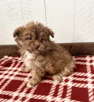 processed/5723f90b-b1a8-496c-a934-ce13704d72e8/listing/4ad26438-9ff0-4c39-863a-f65874f97eec/6ab5312a-7ce1-4b68-a4bb-ae0d141f012d