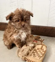 processed/5723f90b-b1a8-496c-a934-ce13704d72e8/listing/4ad26438-9ff0-4c39-863a-f65874f97eec/8a45800f-b9fd-4f50-bed1-3f39549d0f9b