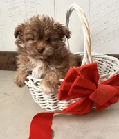 processed/5723f90b-b1a8-496c-a934-ce13704d72e8/listing/4ad26438-9ff0-4c39-863a-f65874f97eec/fc000bfa-43da-4e8a-b0d2-76546aa0bb01