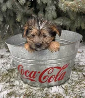 processed/5723f90b-b1a8-496c-a934-ce13704d72e8/listing/5e33e734-68f8-4e14-9565-95a5da9f2310/b04058eb-48bd-487b-bff0-8077e1f15c77