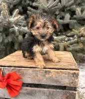 processed/5723f90b-b1a8-496c-a934-ce13704d72e8/listing/5e33e734-68f8-4e14-9565-95a5da9f2310/e74cec53-858d-436b-8468-499d95c182ca