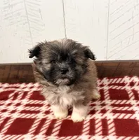 processed/5723f90b-b1a8-496c-a934-ce13704d72e8/listing/848f6bae-b280-46da-a32f-0bb1e770a23b/3b26295c-8968-4d38-9e84-ef557f284be7