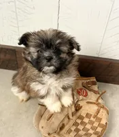 processed/5723f90b-b1a8-496c-a934-ce13704d72e8/listing/848f6bae-b280-46da-a32f-0bb1e770a23b/e734d67e-16f3-48f4-90b4-98467d80f6bc