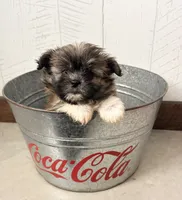 processed/5723f90b-b1a8-496c-a934-ce13704d72e8/listing/848f6bae-b280-46da-a32f-0bb1e770a23b/ee68b247-d96a-4232-9486-53ef654b20a7