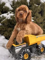 processed/5723f90b-b1a8-496c-a934-ce13704d72e8/listing/9246bfbf-d3b1-4b19-a2fe-9dee9d7a9a91/0f23e09b-76b2-4fc3-a143-9a541c833056