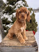 processed/5723f90b-b1a8-496c-a934-ce13704d72e8/listing/9246bfbf-d3b1-4b19-a2fe-9dee9d7a9a91/496dff6f-12ab-48c1-84f1-c86ebd482974