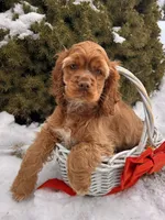 processed/5723f90b-b1a8-496c-a934-ce13704d72e8/listing/9246bfbf-d3b1-4b19-a2fe-9dee9d7a9a91/d0ab0a07-0437-4f9b-90c1-9a1ce88131f7