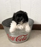 processed/5723f90b-b1a8-496c-a934-ce13704d72e8/listing/965eda70-79a4-4ec6-ab36-936bd909f701/bfcb2193-92d5-4bcf-b0bc-ed4033b9467a