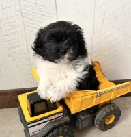 processed/5723f90b-b1a8-496c-a934-ce13704d72e8/listing/965eda70-79a4-4ec6-ab36-936bd909f701/c29331ac-dfa4-44d6-a9cc-0e92088b3f24