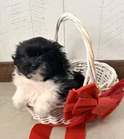 processed/5723f90b-b1a8-496c-a934-ce13704d72e8/listing/965eda70-79a4-4ec6-ab36-936bd909f701/daa15637-2edf-47ad-909a-c46db1e404da