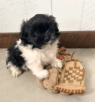 processed/5723f90b-b1a8-496c-a934-ce13704d72e8/listing/965eda70-79a4-4ec6-ab36-936bd909f701/e3c56243-a879-488c-aa39-b328ab82baf9