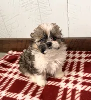 processed/5723f90b-b1a8-496c-a934-ce13704d72e8/listing/9cf2ea3e-d549-47b4-aede-51d76057f0c8/015141ef-b2e9-4605-ad0a-54b70fd694bb